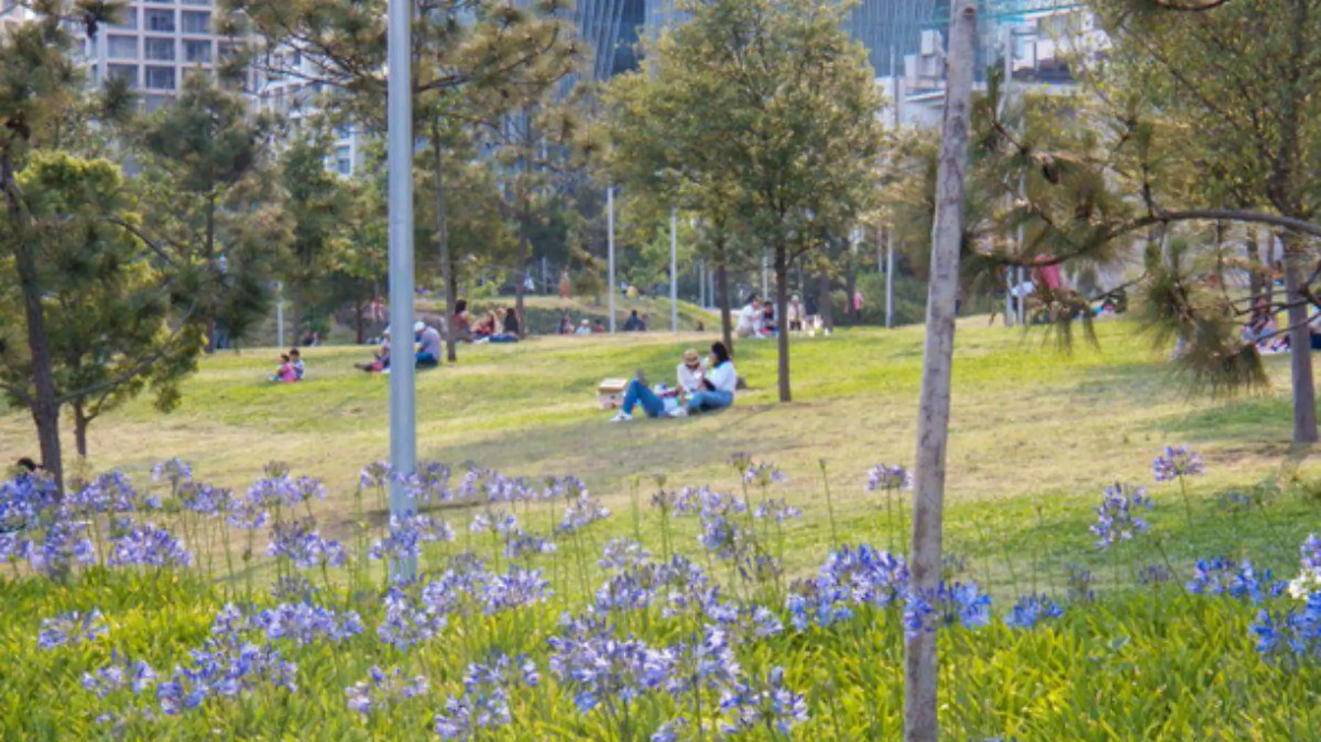 Parque La Mexicana-Santa Fe